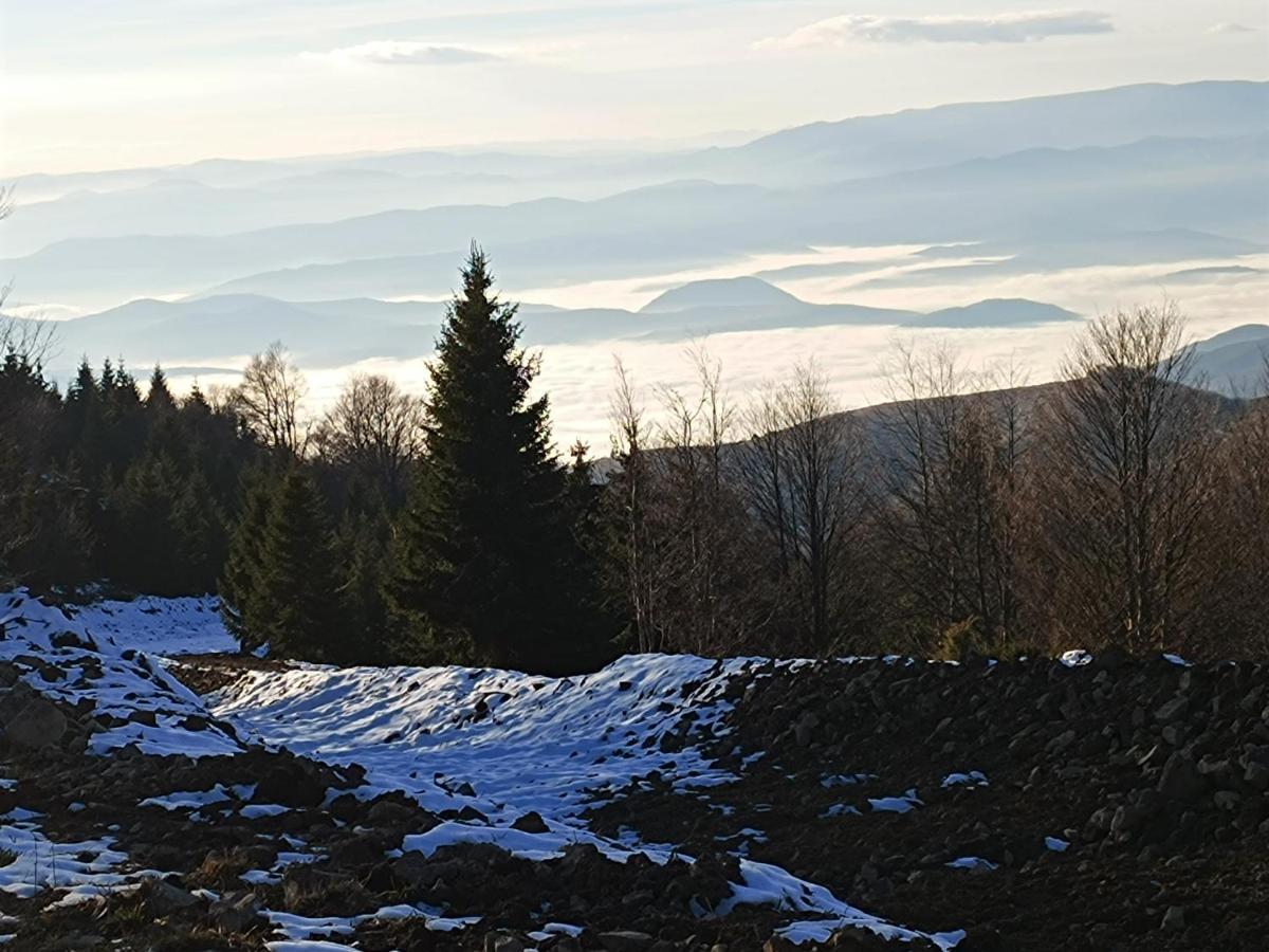 Apartmán Kuca Za Odmor "Djurovic" Kopaonik Exteriér fotografie
